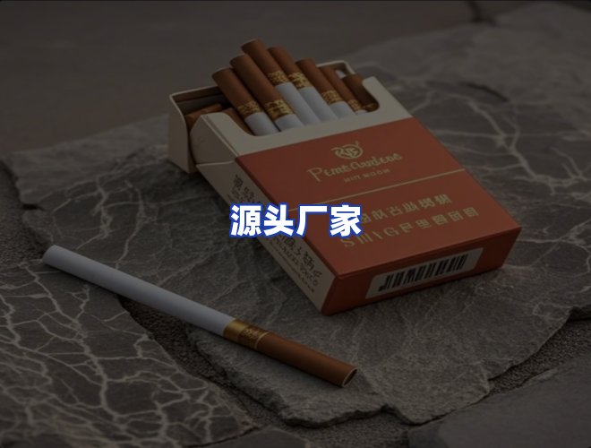 专业团队